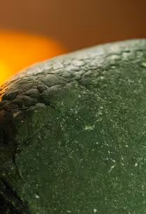 Textured Green Textured Green