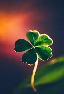 Lucky Find