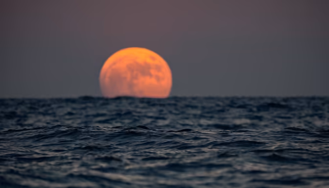 Ocean Moonrise