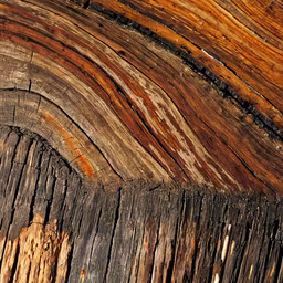 Aged Wood Aged Wood
