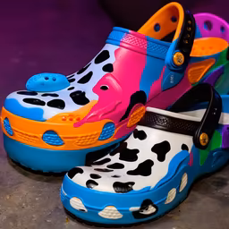 Crazy Crocs Crazy Crocs