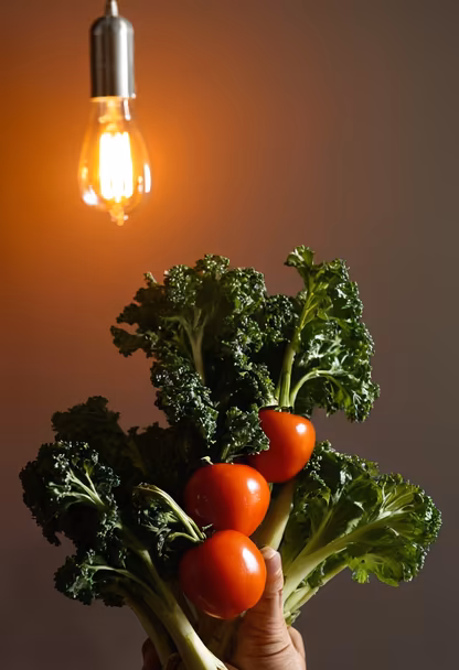 Fresh Harvest Fresh Harvest