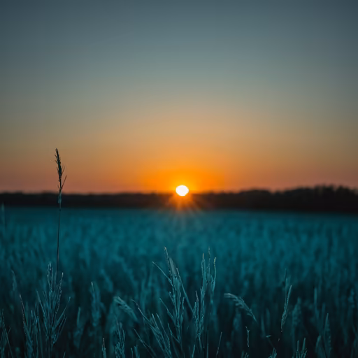 Golden Hour Serenity