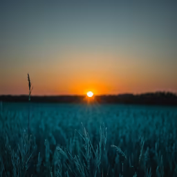 Golden Hour Serenity Golden Hour Serenity