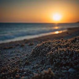 Golden Hour Beach Golden Hour Beach