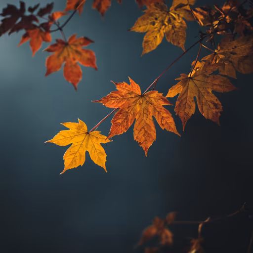 Autumn Palette