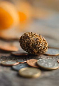 Truffle Treasure Truffle Treasure