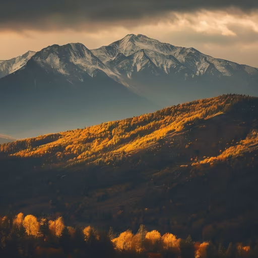 Autumnal Majesty