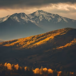 Autumnal Majesty Autumnal Majesty
