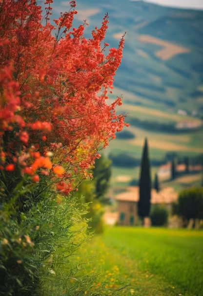 Tuscan Dreamscape