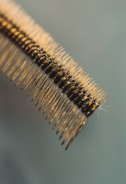 Vintage Comb
