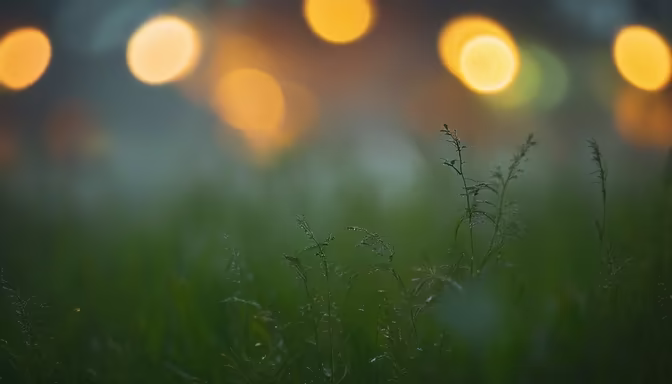 Evening Meadow
