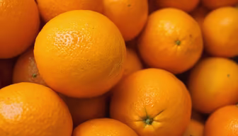 Orange Delight