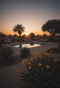 Desert Oasis Desert Oasis