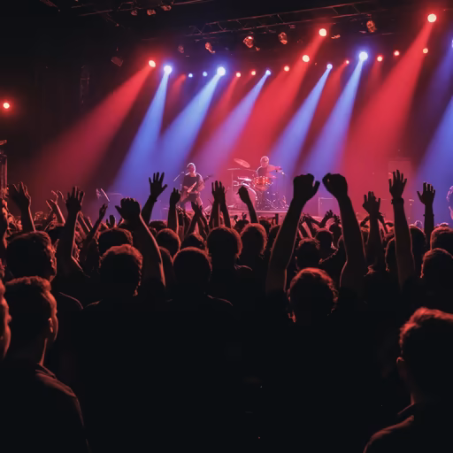 Concert Vibes