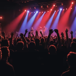 Concert Vibes Concert Vibes