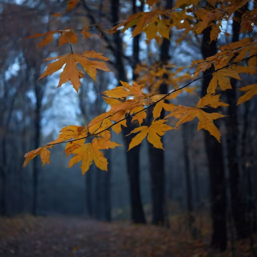 Autumnal Hues