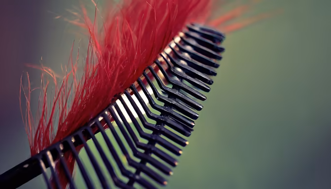 Crimson Style