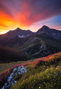 Mountain Majesty Mountain Majesty