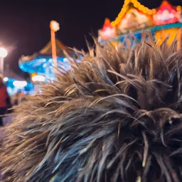 Carnival Nights Carnival Nights
