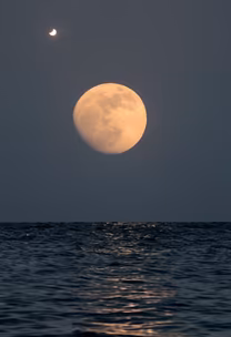 Moonlit Serenity Moonlit Serenity
