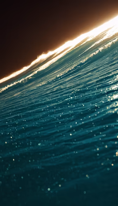 Ocean's Embrace Ocean's Embrace