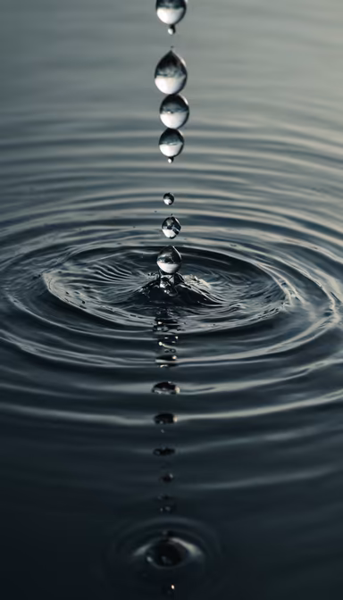Water Droplets Water Droplets