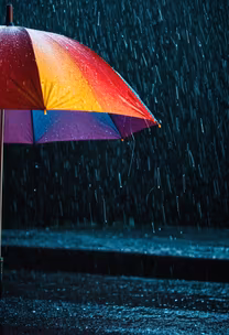 Rainy Days Rainy Days