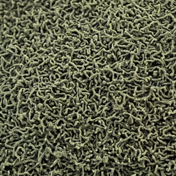 Intricate Patterns Intricate Patterns