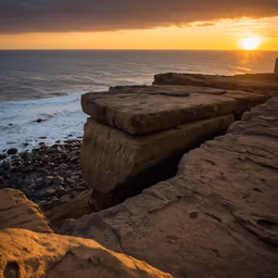 Coastal Majesty Coastal Majesty