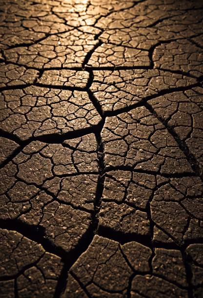 Cracked Earth