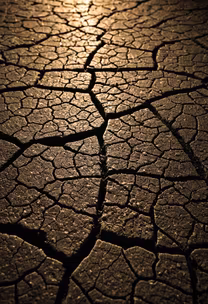 Cracked Earth Cracked Earth