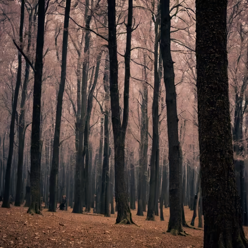 Winter's Embrace
