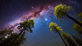 Starry Night Canopy Starry Night Canopy
