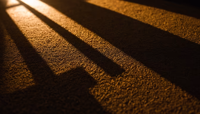 Morning Light