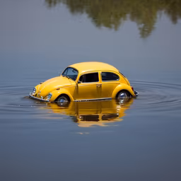 Beetle's Bath