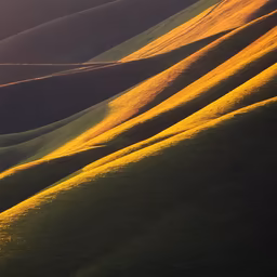 Rolling Hills Rolling Hills