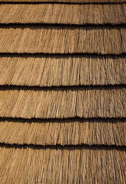 Thatched Roof