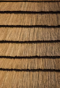 Thatched Roof Thatched Roof