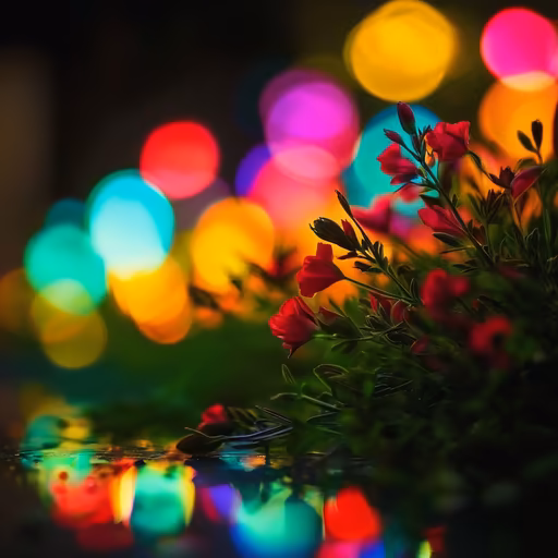 Floral Reflections