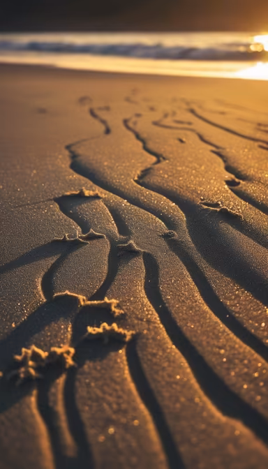 Golden Hour Beach Golden Hour Beach