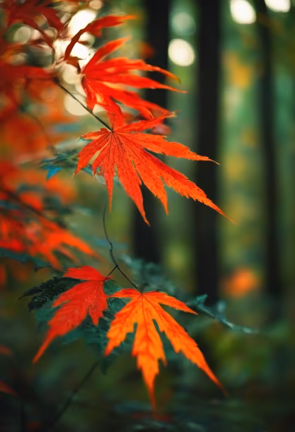 Autumn's Embrace