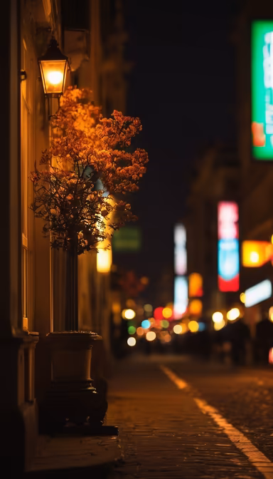 City Nights City Nights