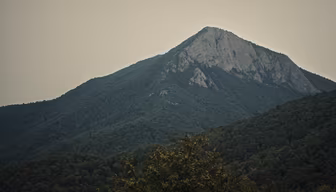 Mountain Majesty