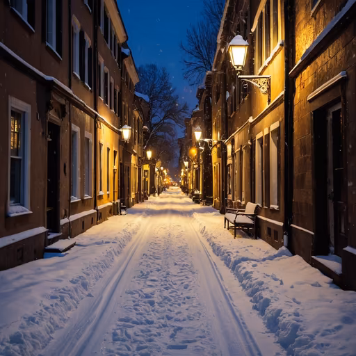 Winter's Embrace