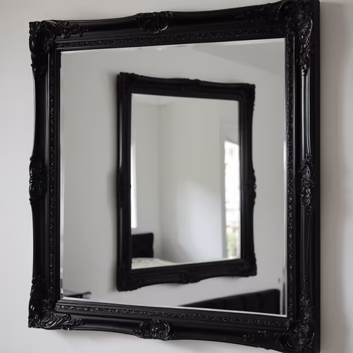 Mirror Reflection