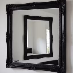 Mirror Reflection