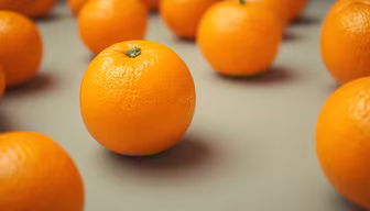 Orange Delight Orange Delight