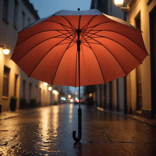Rainy Night