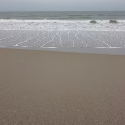 Calm Beach Day